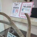 강헌석한의원 이미지