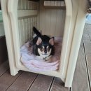 비나인동물병원 이미지