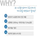 헬스매니저 이미지