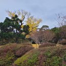 입암서원 앞 이미지