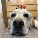 와니살롱 이미지