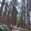 치악산둘레길 3코스 수레너미길 이미지