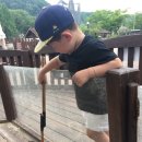 씽씽카랜드 이미지