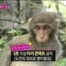 카페 아이비 이미지
