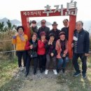 제주미소투어 이미지