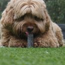 나음동물병원 이미지