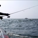 흑도