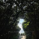 은하수 제주 이미지