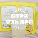 레몬수 만들기 GBMS 하루한포 유기농 레몬즙