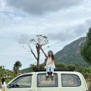 준모농장 이미지