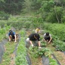 위너콤(주) 이미지