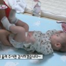 앙젤로이