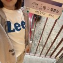테무깡+야구장+대선