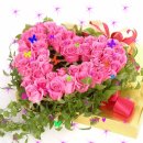 부비부비 노래연습장 이미지