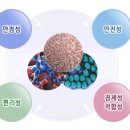 한성닥터