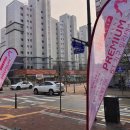 (주)소담소담