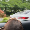 씨엘모텔 이미지