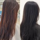 오늘염색 | 대전웨딩염색 추천 도안동 미용실 오늘헤어 매트브라운 후기