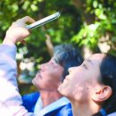 코모레비 이미지