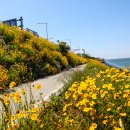 사하구-02 이미지