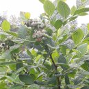 학산농장 이미지