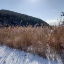 몽산포해넘이 이미지