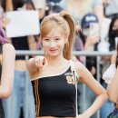 포토시그니처 bnt뉴스