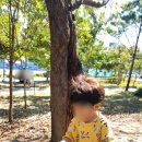 정각1교 이미지