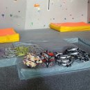 백파태권도장 이미지