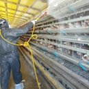 비센바이오(주) 이미지