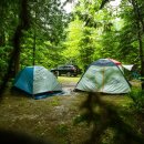 선상서로 이미지