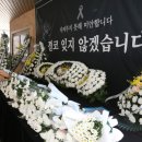 비르헤어 이미지