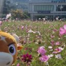 남성현출장소 이미지