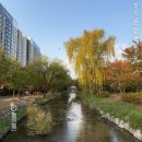 (주)송파오금크린토피아 | 2025년 늦가을단풍산책길(1) 위례~오금공원~성내천