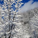 가족캠핑장 이미지