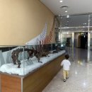 공룡게임랜드 이미지