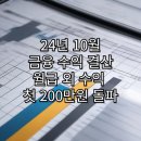 24년 10월 금융 수익 결산 월급외 부수입 200만원 돌파!