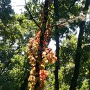 노벨생태어린이집 이미지