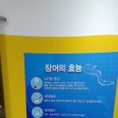 고창풍천장어 - 남동구 장승로 52 | 고창풍천장어
