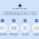 플라이트틴팅