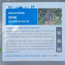 중부뜰목장 | 【경기옛길】 영남길 제9길 죽산성지순례길 (죽산면소재지~일죽면 금산리) 2024.6.9