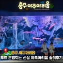 중원낚시 | 충주 아이와 가볼만한 곳 무료 운영 중인 충주 아쿠아리움 솔직 후기
