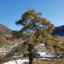 구암동387 이미지