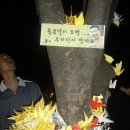희망나무 이미지