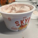 해맑은약국 | Reykjavík :: 아이슬란드행 비행기에서 쓰러진 썰..개큰비극의 시작