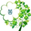 홀수