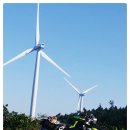 조은목장 이미지