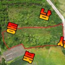 우보공인중개사사무소 이미지