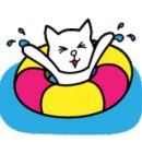 솔거펜션 이미지