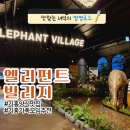 [기흥양식맛집]가족 모임 추천! 주말 캐치테이블 예약 후 방문한 &#39;엘리펀트 빌리지&#39; 후기